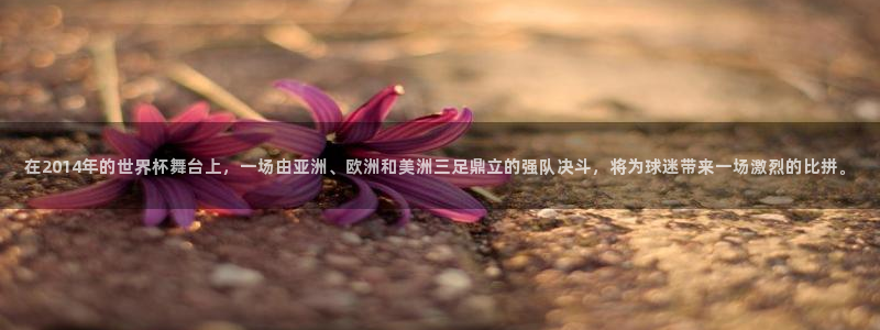 26世界杯:在2014年的世界杯舞台上,一场由亚洲、欧洲和美洲三足鼎立的强队决斗,将为球迷带来一场激烈的比拼。