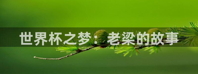 今天所有足球赛程表:世界杯之梦:老梁的故事