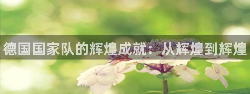 世俱杯直播:德国国家队的辉煌成就:从辉煌到辉煌