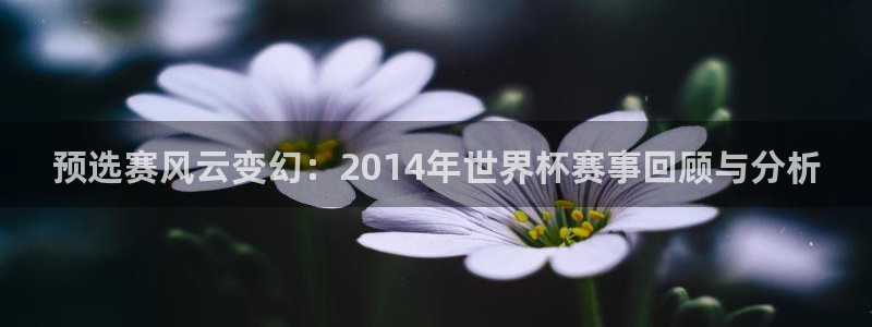 世界杯亚洲预选赛18强赛程:预选赛风云变幻:2014年世界杯赛事回顾与分析