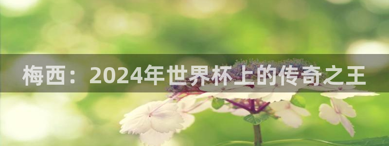 世界杯足球赛2026:梅西:2024年世界杯上的传奇之王
