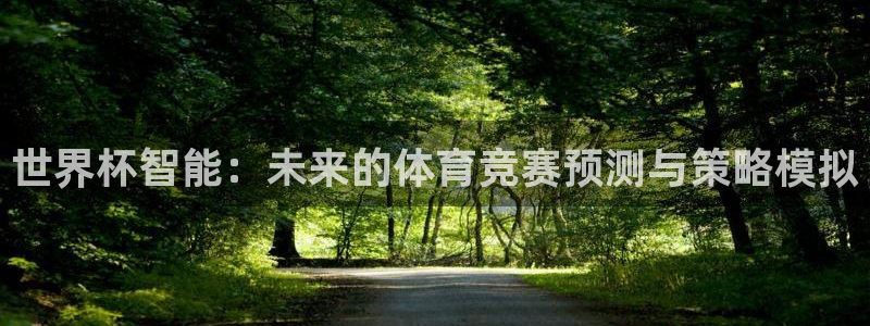 足球杯:世界杯智能:未来的体育竞赛预测与策略模拟