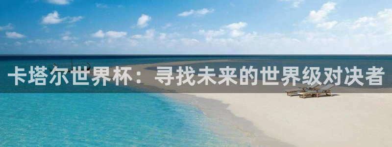 预选赛世界杯:卡塔尔世界杯:寻找未来的世界级对决者